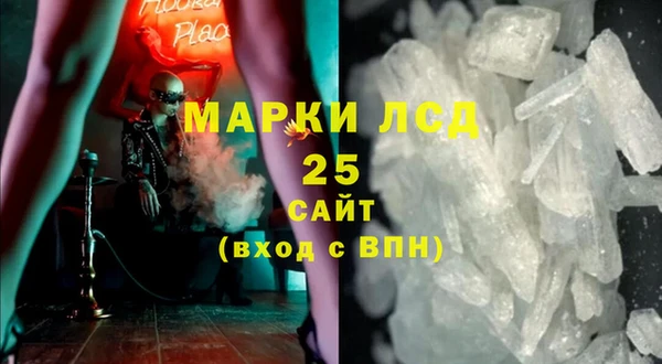 гашик Володарск